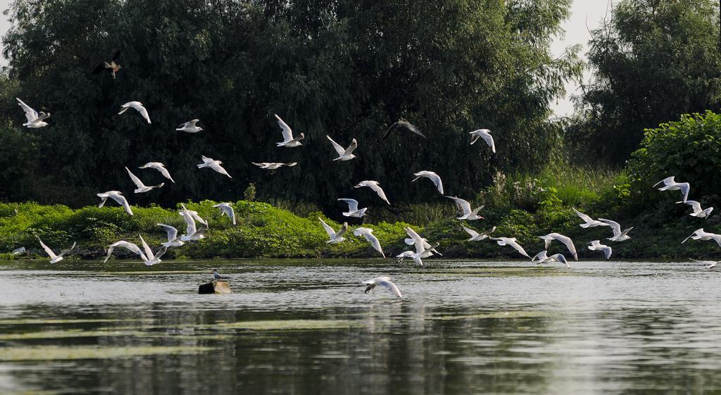Vila Delta Travel - Mila 23 Mila Douăzeci şi Trei Eksteriør bilde