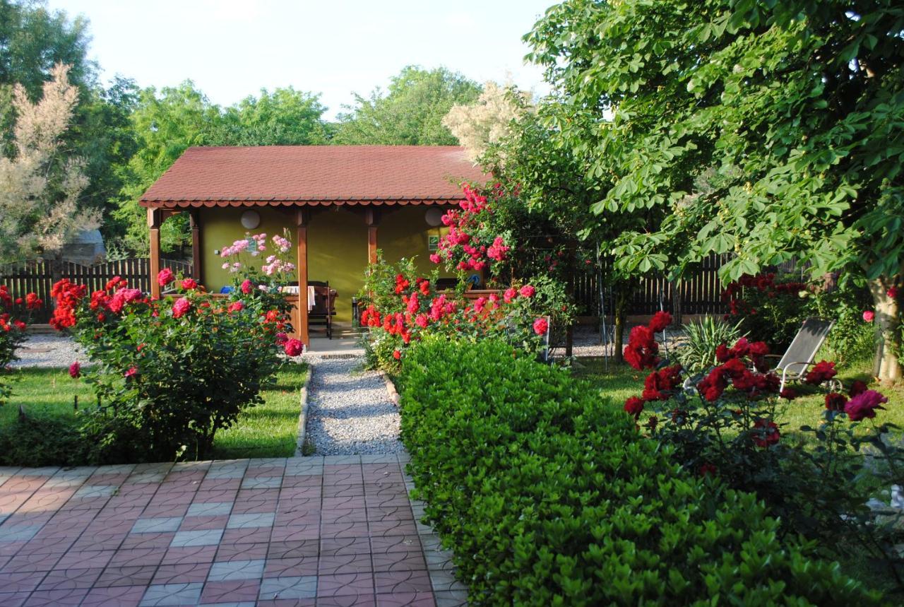 Vila Delta Travel - Mila 23 Mila Douăzeci şi Trei Eksteriør bilde